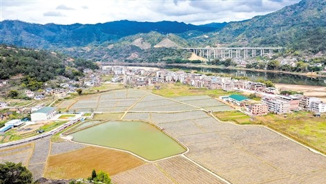 特色农业“钱景”旺 乡村振兴底气足