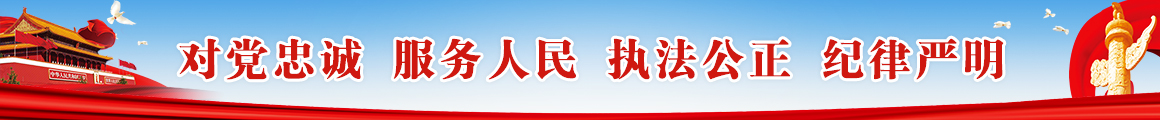 对党忠诚 服务人民 执法公正 纪律严明